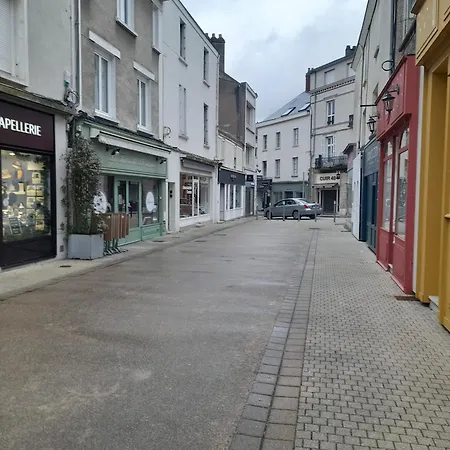 Appartement Au Bon Oranger, En Coeur De Hyper Centre Cholet